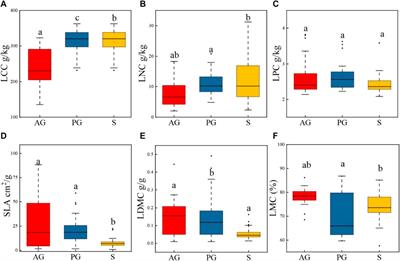 Convergent Variation in the Leaf Traits of Desert Plants in the Ebinur Lake Basin